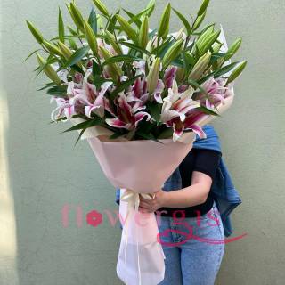 Большие мечты